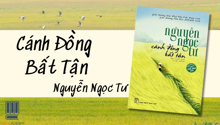 Cánh Đồng Bất Tận – Hành trình đầy xúc cảm của Văn học Việt Nam